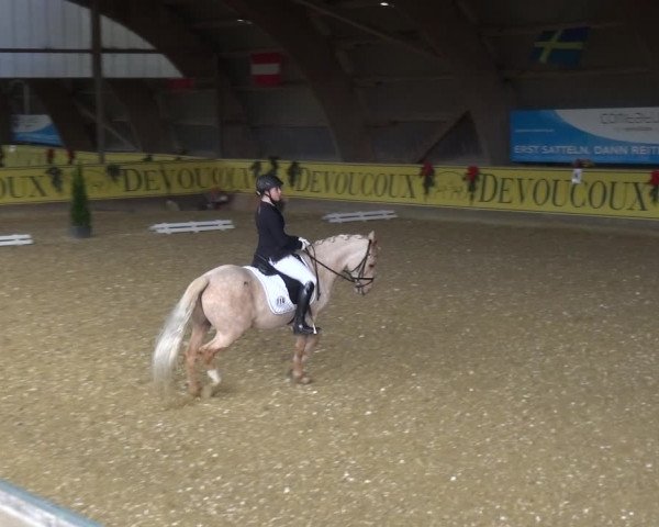 Reitturnier Essen-Stadtwald 2017