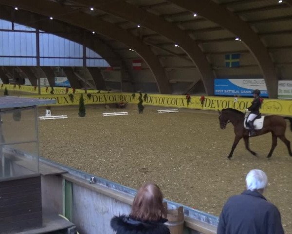 Reitturnier Essen-Stadtwald 2017