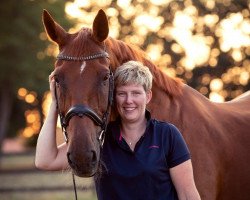 dressage horse Le Rouge (Hanoverian, 2002, from Londonderry)
