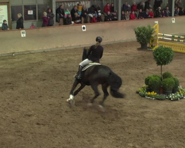 Reitturnier Bonn - Gut Ettenhausen 2017