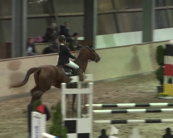 Reitturnier Bonn - Gut Ettenhausen 2017