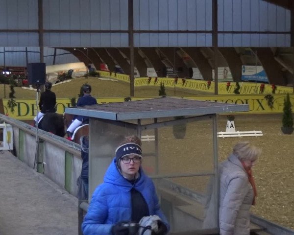 Reitturnier Essen-Stadtwald 2017
