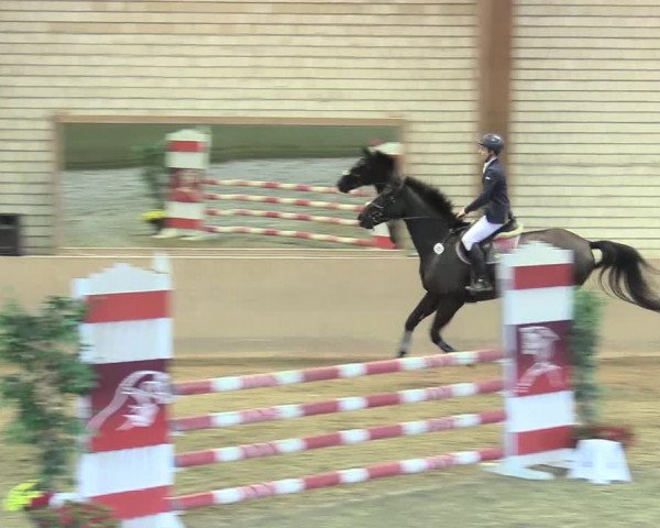 Reitturnier Kamen 2017