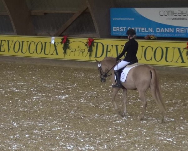 Reitturnier Essen-Stadtwald 2017