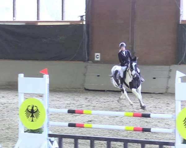 Reitturnier Kamen 2017
