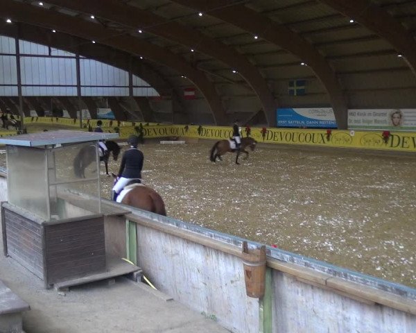 Reitturnier Essen-Stadtwald 2017