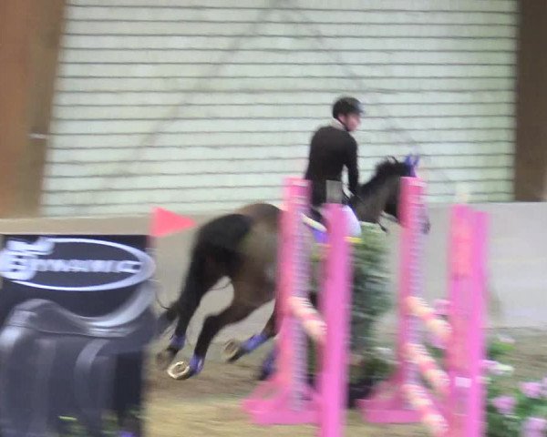 Reitturnier Kamen 2017