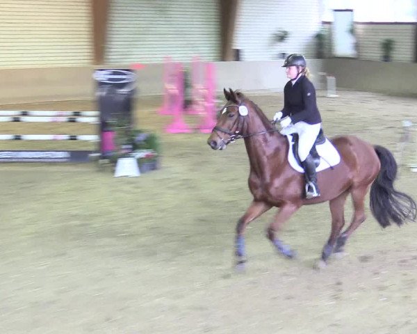 Reitturnier Kamen 2017