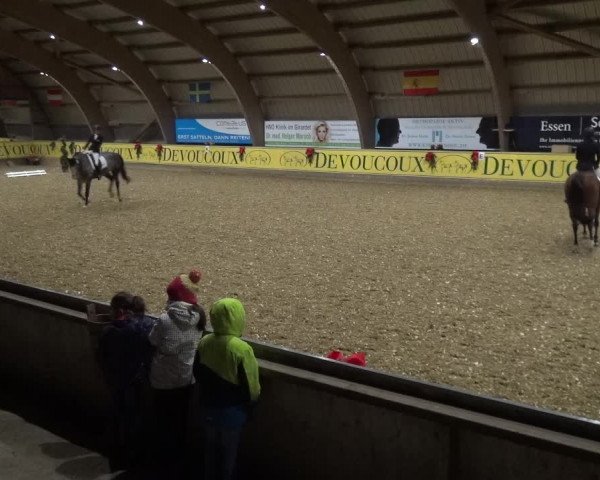 Reitturnier Essen-Stadtwald 2017