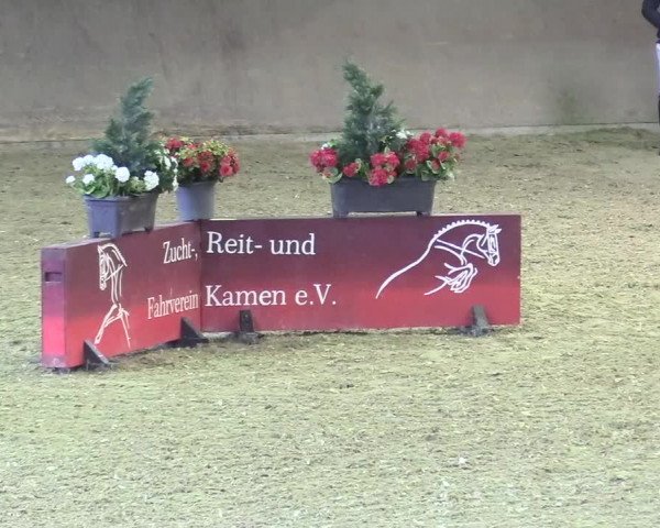 Reitturnier Kamen 2017