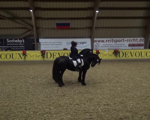 Reitturnier Essen-Stadtwald 2017