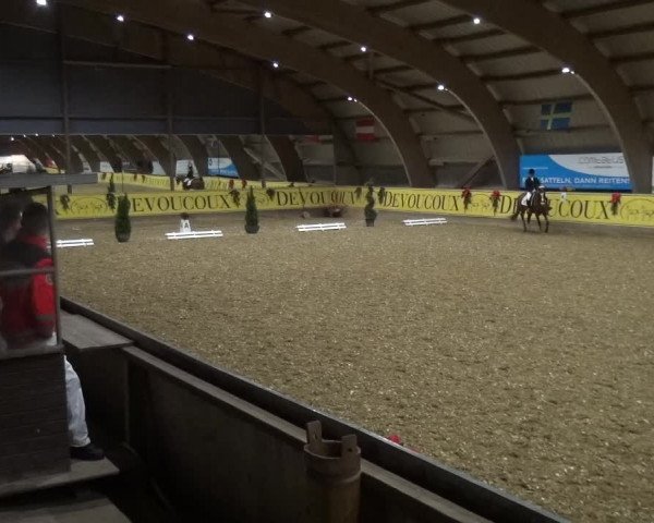 Reitturnier Essen-Stadtwald 2017