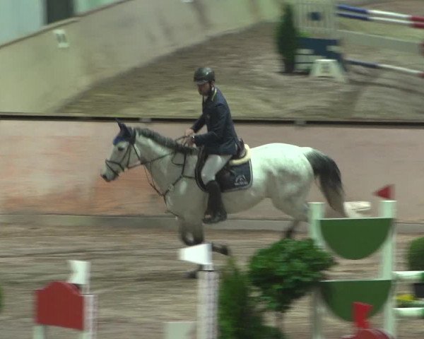 Reitturnier Bonn - Gut Ettenhausen 2017