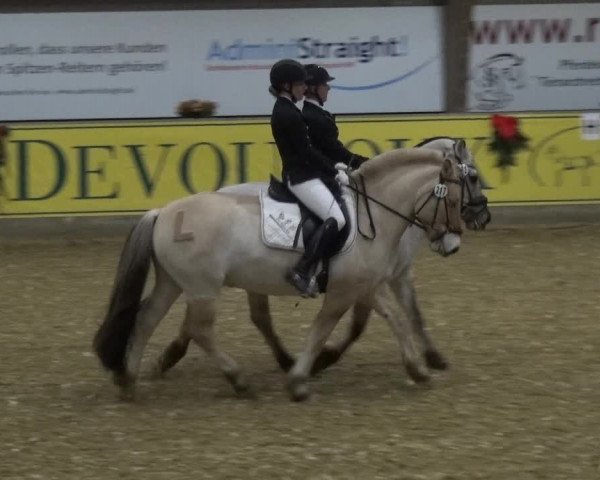 Reitturnier Essen-Stadtwald 2017