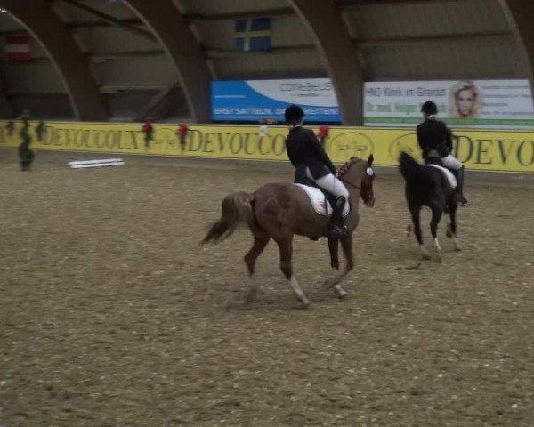 Reitturnier Essen-Stadtwald 2017