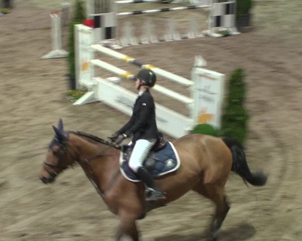 Reitturnier Bonn - Gut Ettenhausen 2017