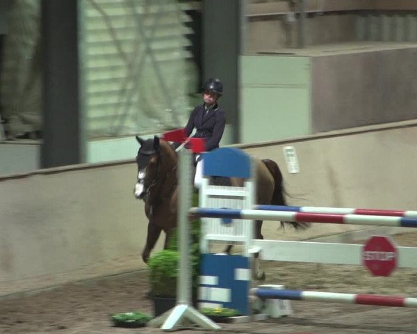 Reitturnier Bonn - Gut Ettenhausen 2017