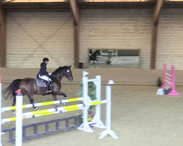 Reitturnier Kamen 2017