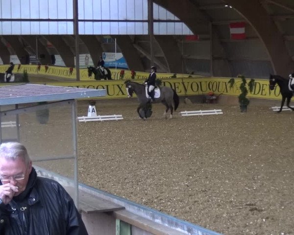 Reitturnier Essen-Stadtwald 2017