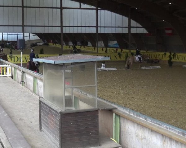 Reitturnier Essen-Stadtwald 2017