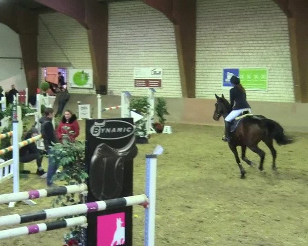 Reitturnier Kamen 2017