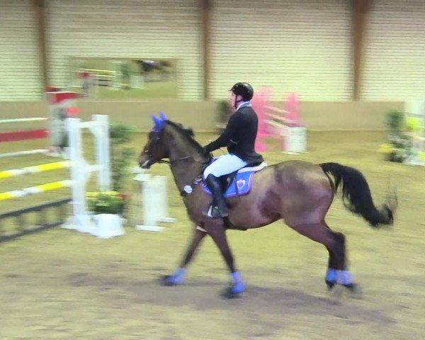 Reitturnier Kamen 2017