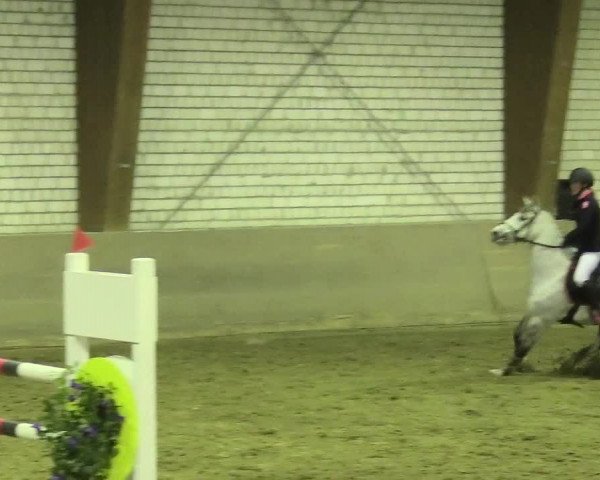 Reitturnier Kamen 2017