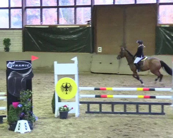 Reitturnier Kamen 2017