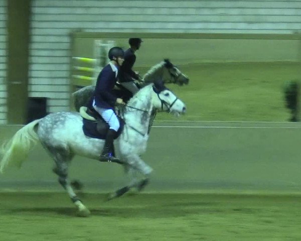Reitturnier Kamen 2017