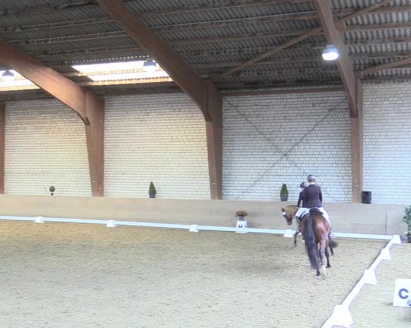 Reitturnier Kamen 2017