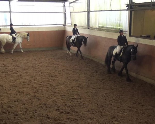 Reitturnier Leichlingen-Witzhelden 2017