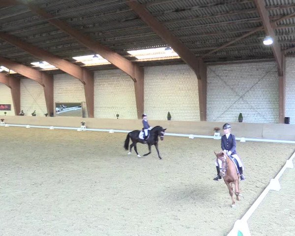 Reitturnier Kamen 2017