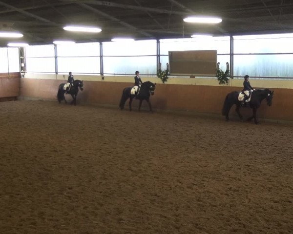 Reitturnier Leichlingen-Witzhelden 2017