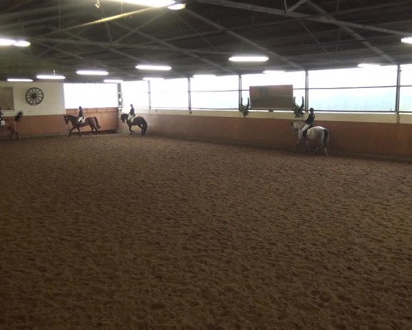 Reitturnier Leichlingen-Witzhelden 2017