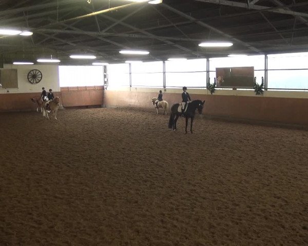 Reitturnier Leichlingen-Witzhelden 2017