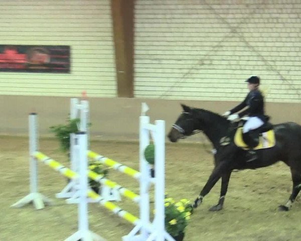 Reitturnier Kamen 2017