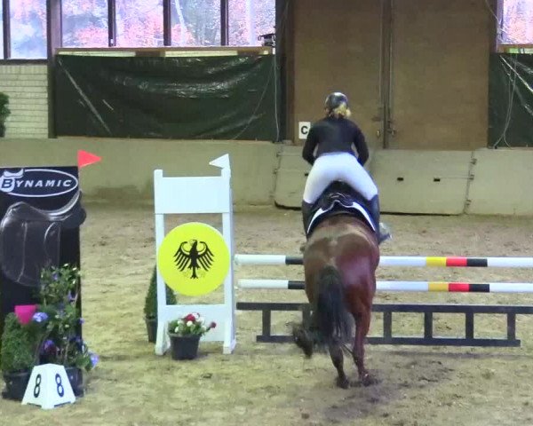 Reitturnier Kamen 2017
