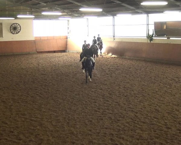 Reitturnier Leichlingen-Witzhelden 2017