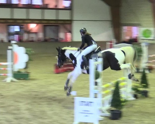 Reitturnier Kamen 2017