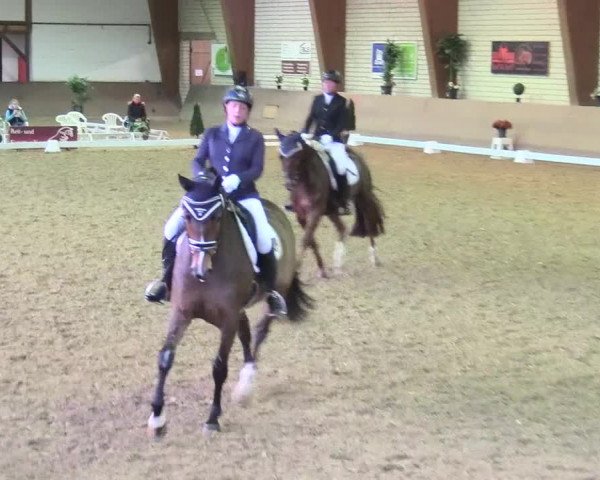 Reitturnier Kamen 2017