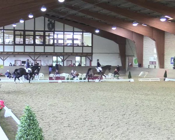 Reitturnier Kamen 2017