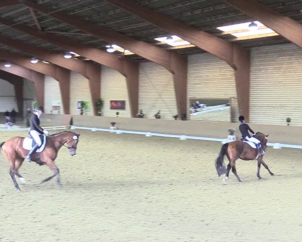 Reitturnier Kamen 2017