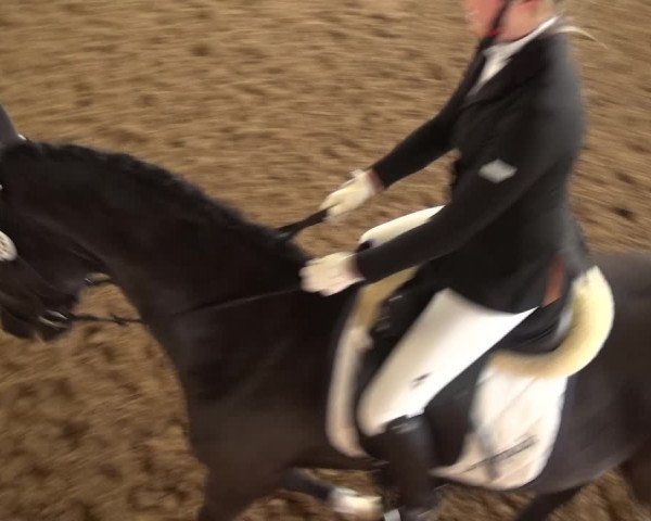 Reitturnier Leichlingen-Witzhelden 2017