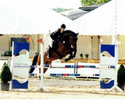 jumper A Burly (Hanoverian, 2007, from Adlantus As FRH)
