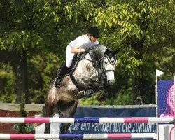 jumper Baileys 100 (Oldenburg show jumper, 2012, from Balou du Rouet)