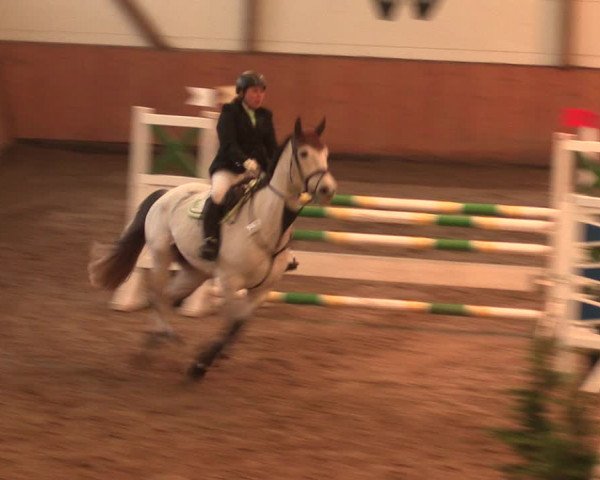 Reitturnier Bad Salzuflen 2017