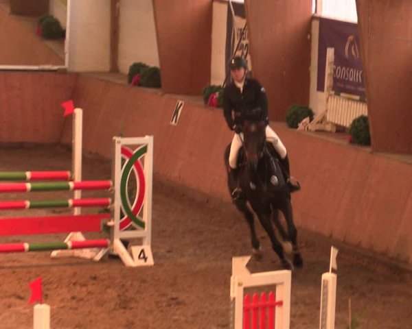 Reitturnier Bad Salzuflen 2017