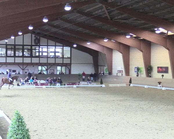 Reitturnier Kamen 2017