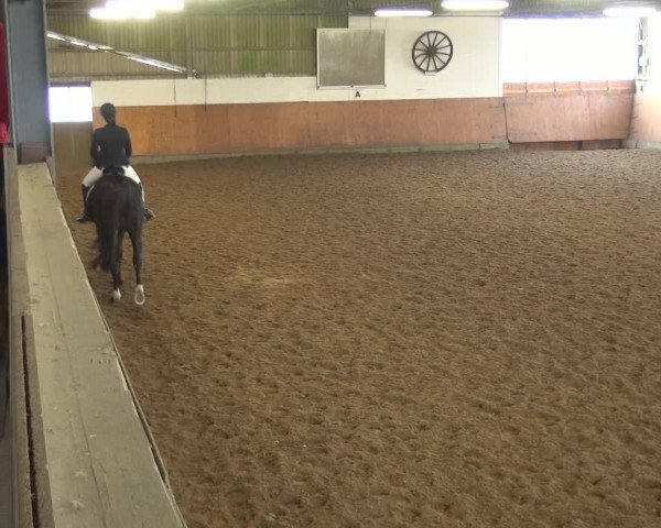 Reitturnier Leichlingen-Witzhelden 2017