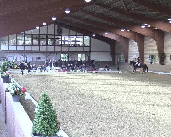Reitturnier Kamen 2017